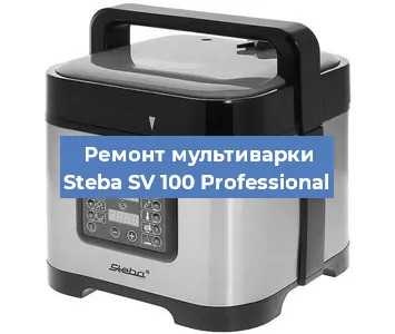 Замена чаши на мультиварке Steba SV 100 Professional в Ростове-на-Дону
